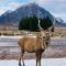 Scottish Highland Cottage Tyndrum Upper Station - Crianlarich