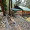 Cowboy Cabin In Red River