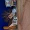 Colonial Motel and Spa