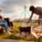 Bain View Glamping