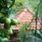 Winy-Villa Lovina