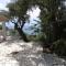 Villa Elli Panoramic View - Ipsos