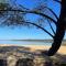 Appartement T2 proche lac - 桑吉内