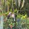Absolute Beach Front Home -Dogs, Surf, Relax, Bush