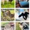 Sandalwood Downs Fabulous Farm Stay TOODYAY