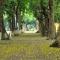 Da Tree Homestay