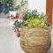 Comfort Family Homestay