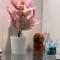Moderm Spacious 6pax S PICE Penang - Bayan Lepas
