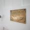 The Seabird Suite
