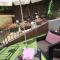 Vesna Apartman