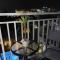6F Balcony View Studio Mesatierra Garden Residences