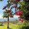 Sunshine beach front complex, WiFi, modern