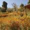 Francolin Lodge-Farmstay @ Darima