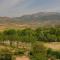 CAPITAL DEL VINO CON VISTAS A LA MONTAñA - Аро