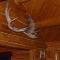 Moose Cabin