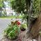 Bezdan Guesthouse