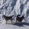 Ustou Guzet neige, appartement de 32 M2 avec balcon dans les Pyrénées aux pieds des pistes - Ustou