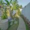 Y.Conut Ubud Villa - 乌布