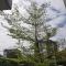 KENNPIA homestay