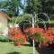 Apartments Annamaria