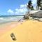 Paradise Oceanfront Condo - Ocean Is Your Home - Luquillo