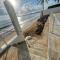 Paradise Oceanfront Condo - Ocean Is Your Home - Luquillo