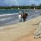 True Beachfront Oasis With Amazing Views Life - Luquillo
