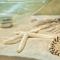 Oceanfront 5-Stars Starfish Villa, Dawn Beach, Private Pool, Secured, Concierge
