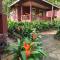 Sweet Jungle Bungalows - Isola di Koh Rong
