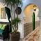 The Arabian Nights B&B