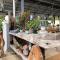 Bonsai Homestay Kluang - B17