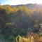 Love Nest in Blue Ridge