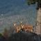 Green Chalet Scalotta - Wonderful Terrace Lake and Mounts View - Dervio