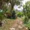 URKU ALLIPACHA FINCA ORGÁNICA CASA DE CAMPO