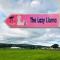 The Lazy Llama Farm Stay Shepherd Hut - Ballyshannon