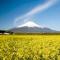 Minamitsuru-gun - Hotel / Vacation STAY 45545