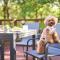 Suite Villa Nasukogen Doggys Ohana