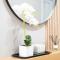 Apartamento AN Sol “Ferrol”