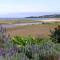 A Great Ocean View Motel - Apollo Bay