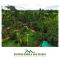 Vips Ruposhi Bangla Eco Resort