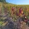 Le val d Arlette