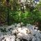 KUBBA ROONGA GUESTHOUSE - Boutique Luxury Spa Retreat & Gardens - Blue Mountains