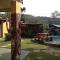Jungle Monkey Backpackers