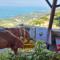 Livari Viewpoint