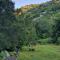 Livari Viewpoint