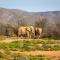 Inverdoorn Game Reserve Lodge