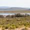 Inverdoorn Game Reserve Lodge