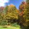 Catskills Enchanted Forest