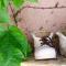 bbolbia - bed and breakfast