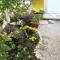 Marina Guesthouse